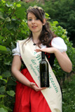 Wein- und Schlossfest Nebra 2013